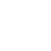 lora-logo-100